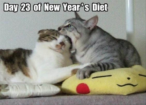 day 23 of new years diet.jpg
