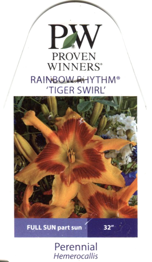 DaylilyTigerSwirlGardenTag3.jpg
