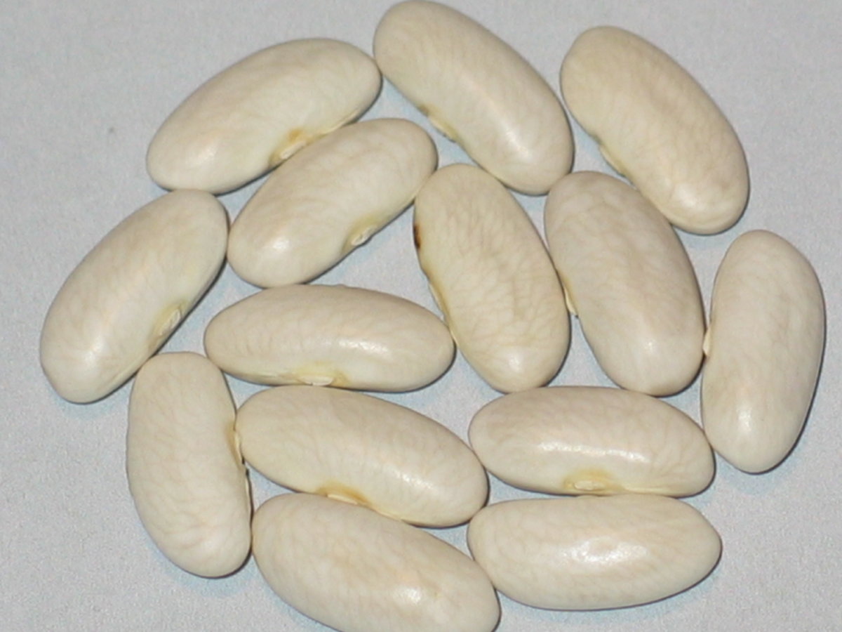 Dead Man's Tooth.jpg
