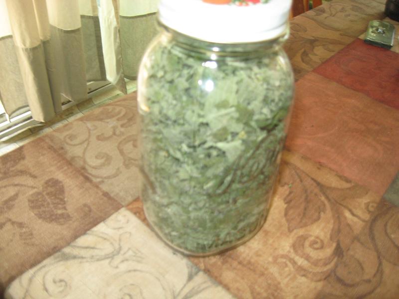 dehydrated apple mint.jpg