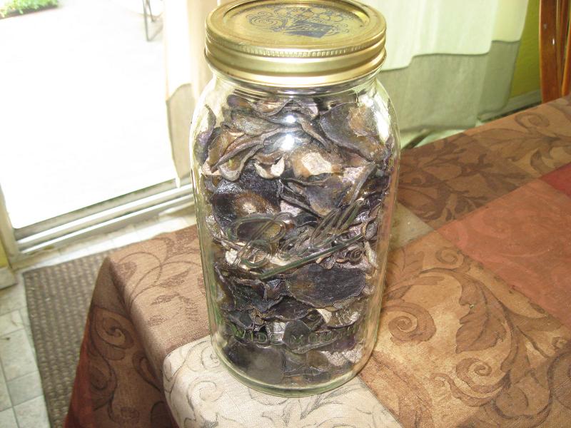 dehydrated blue potatoes.jpg