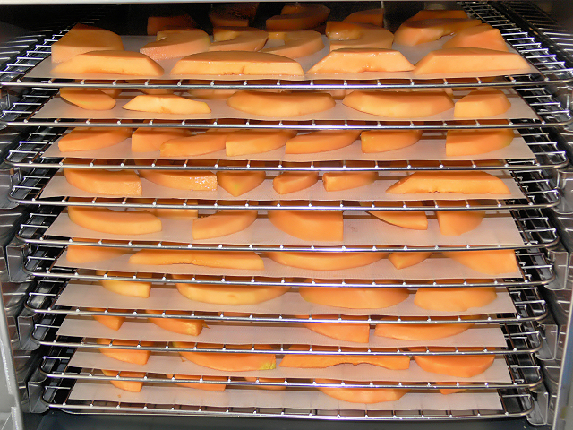 Dehydrated_Cantaloupe1.jpg