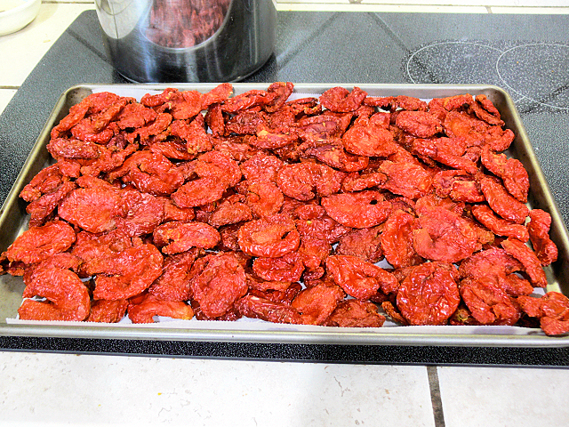 Dehydrated_Tomatoes.jpg