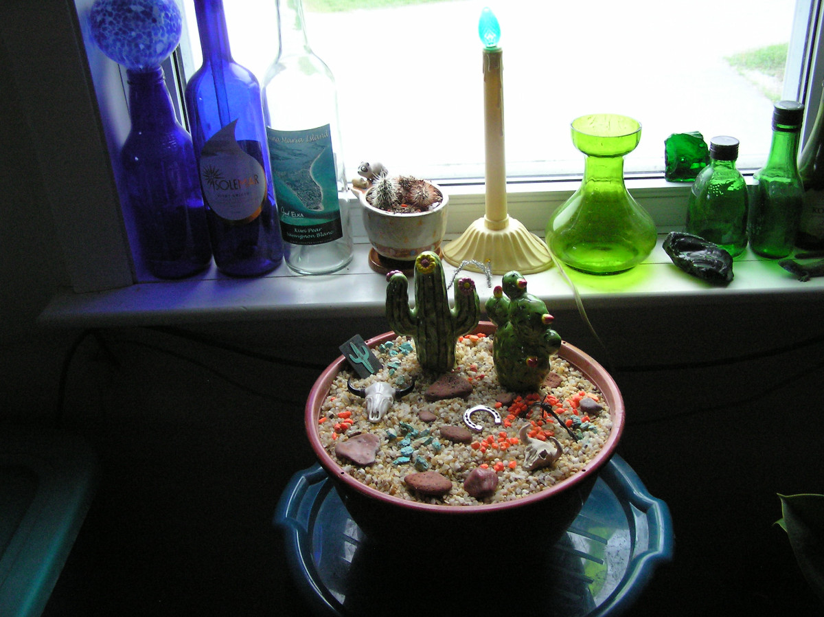DesertDiorama.JPG