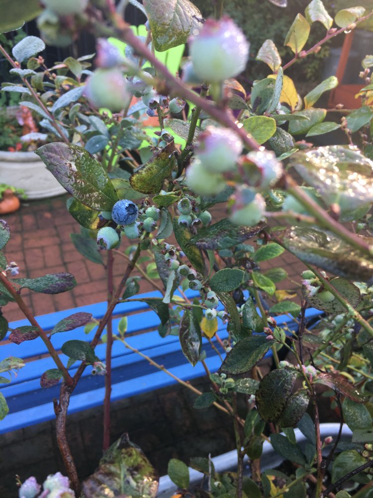 DF507B03-42D0-4093-940E-440CA6D91C74.jpeg