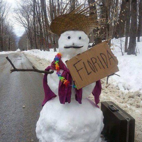 dfe0c2ca4c55ddd93ec41f91de6e1d76--laughter-funny-stuff.jpg