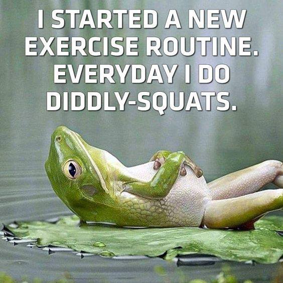 diddly squats.jpg