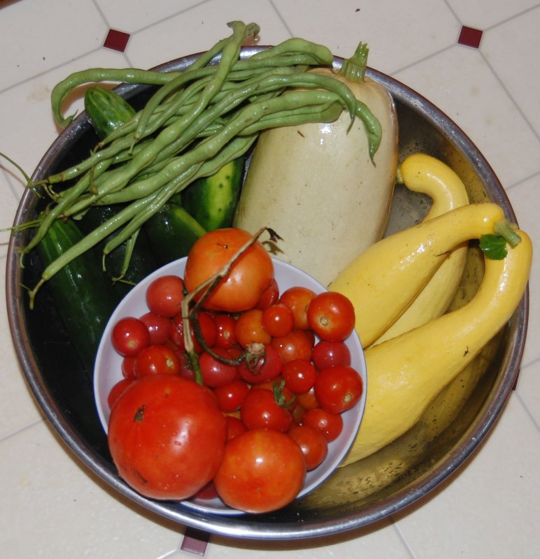 dinner veggies.jpg