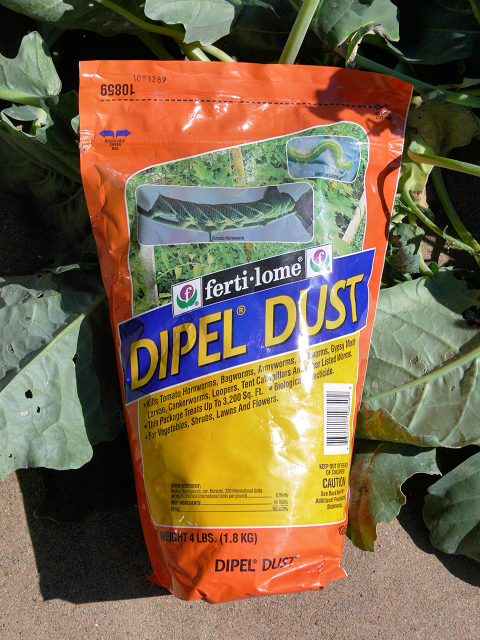 Diple_Dust_Bt.jpg