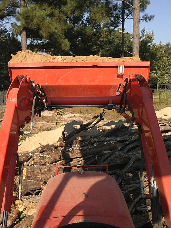 Dirt in bucket.jpg