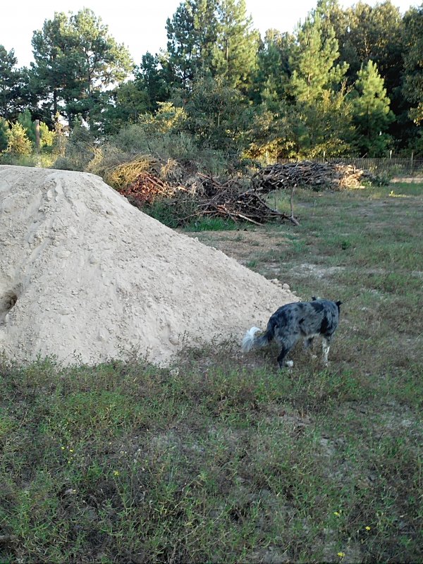 Dirt load.jpg