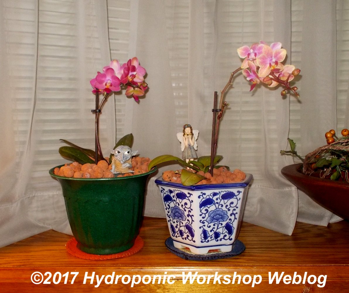 display pots.jpg