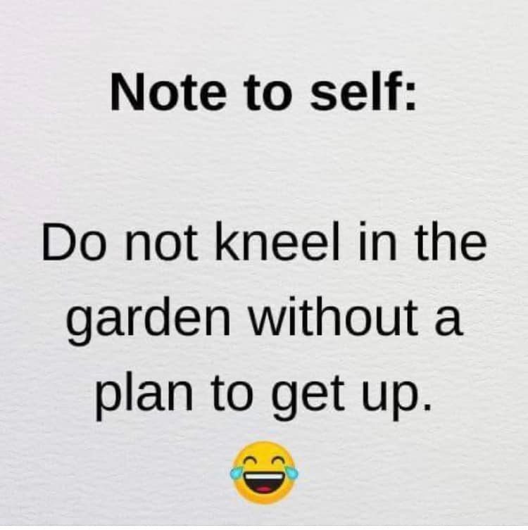 do not kneel in garden.jpg