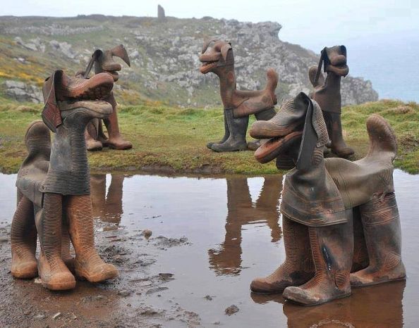 dog boots.jpg