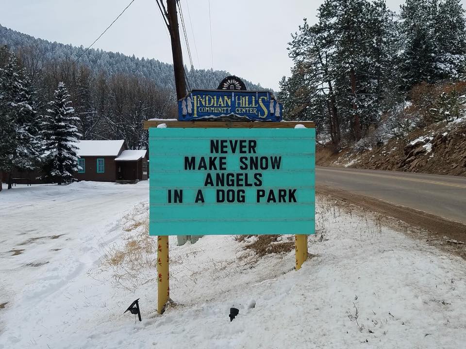 dog park snowangels.jpg