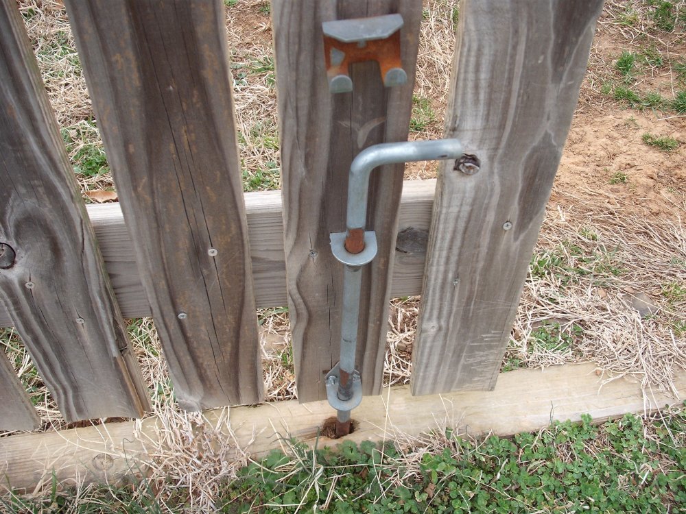 Dog Pen.JPG