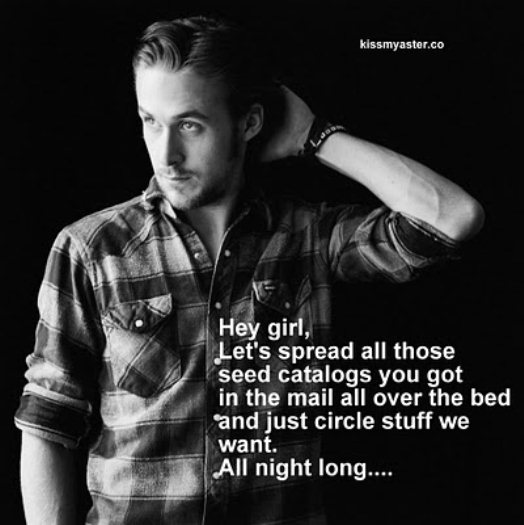dream man.jpg
