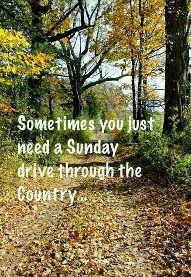 drive in th country.jpg