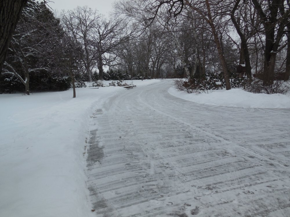 driveway.JPG