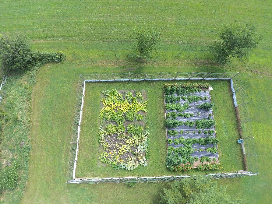 DRONE VIEW BEAN ACRES NEARLY OVERHEAD.jpg