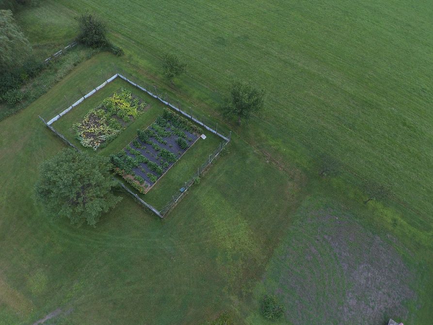 DRONE VIEW OF BEAN ACRES FROM NORTHWEST.jpg