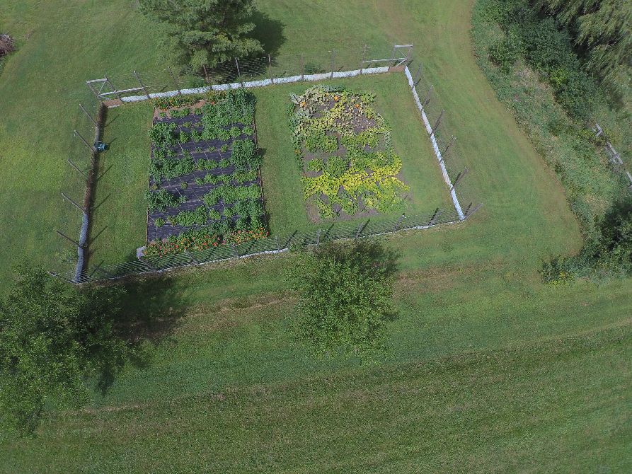 DRONE VIEW OF BEAN ACRES SOUTH TO NORTH.jpg