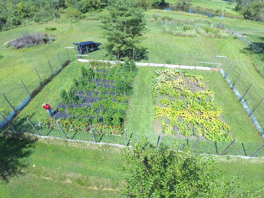 DRONE VIEW OF RUSS IN BEAN ACRES #3.jpg