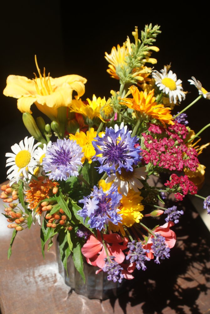 DSC00337.JPG