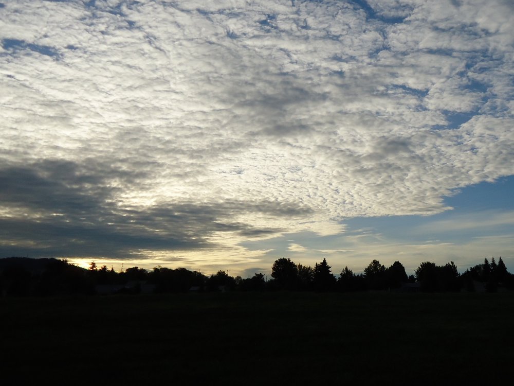 DSC00997.JPG