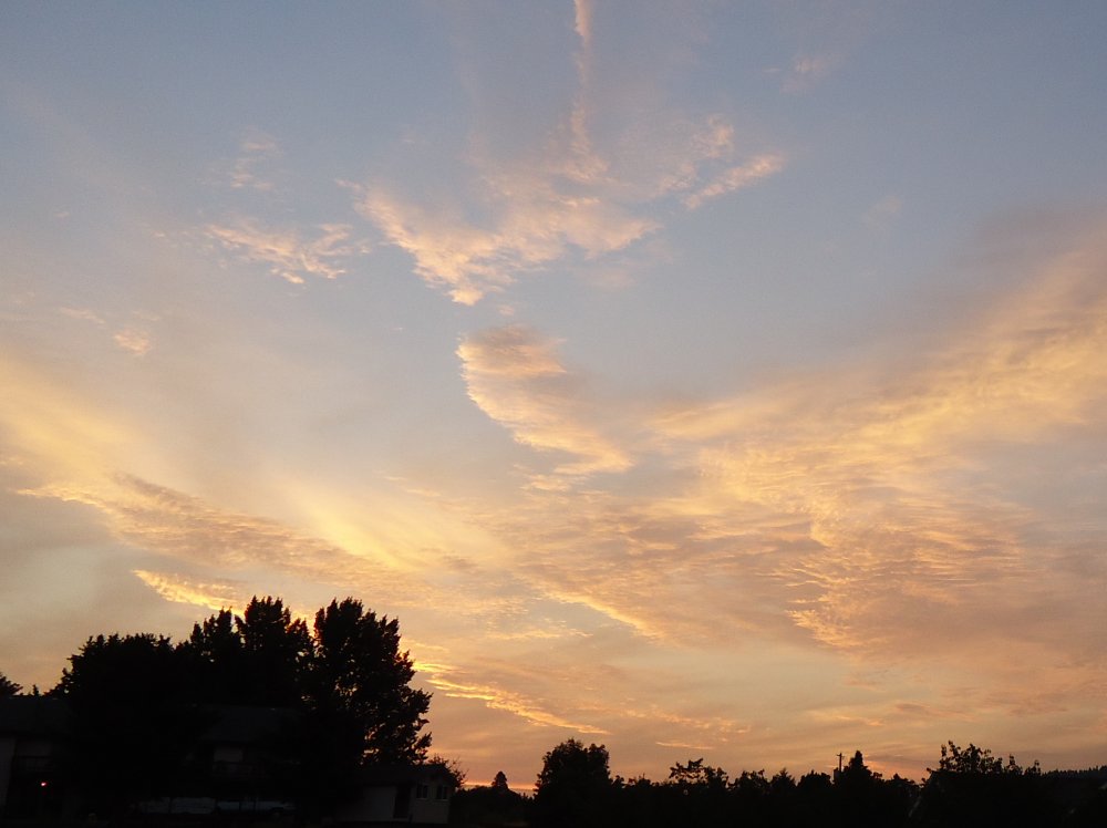 DSC01020.JPG