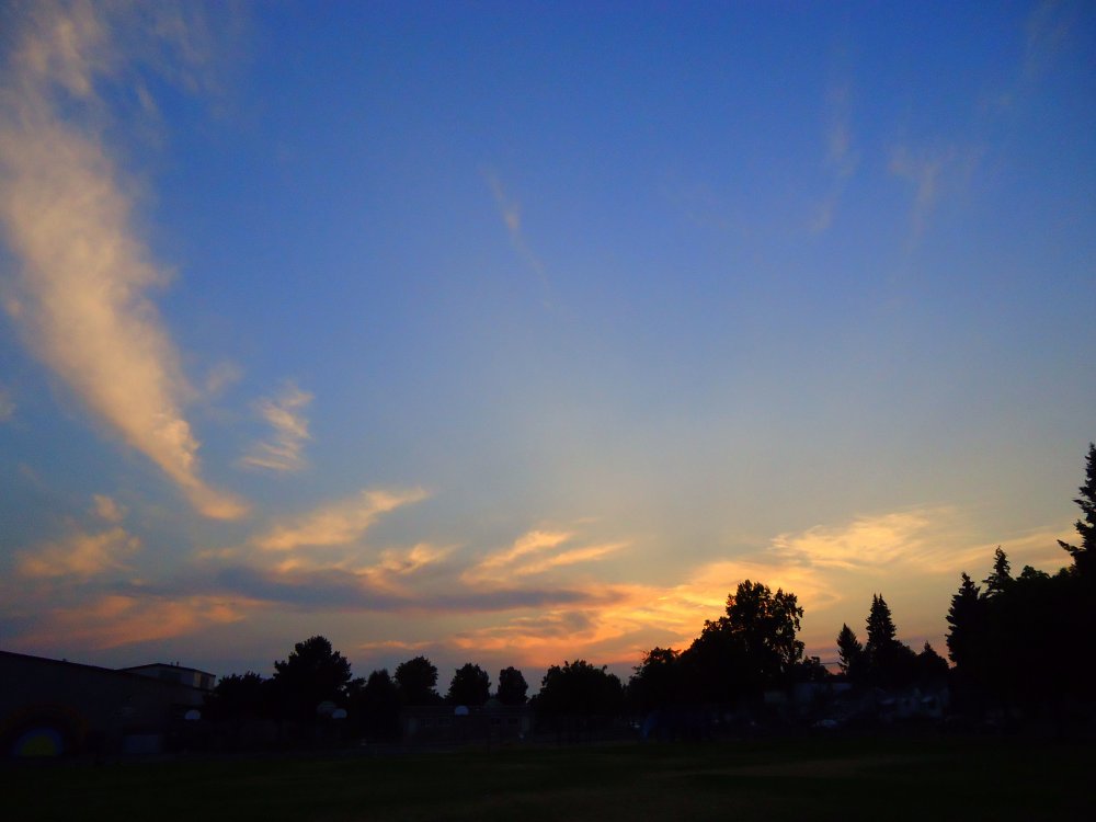 DSC01035.JPG