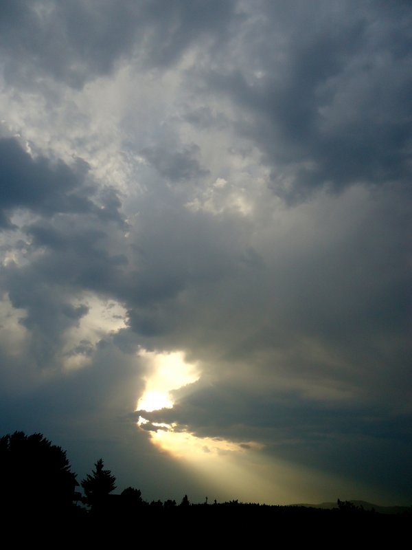 DSC01037.JPG