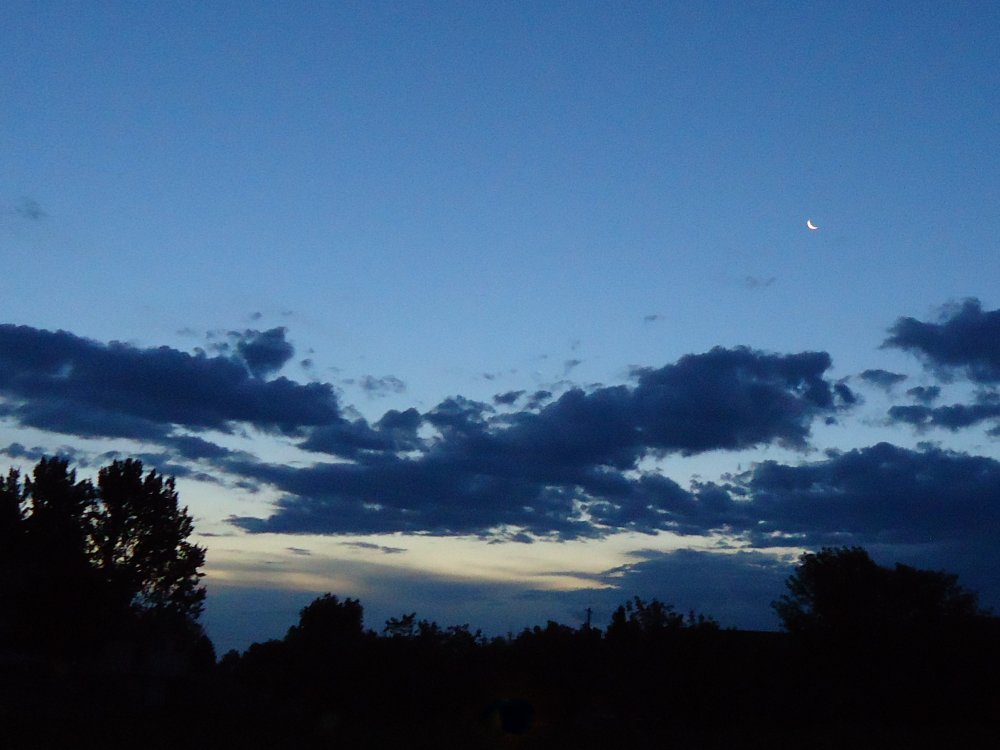 DSC01051.JPG