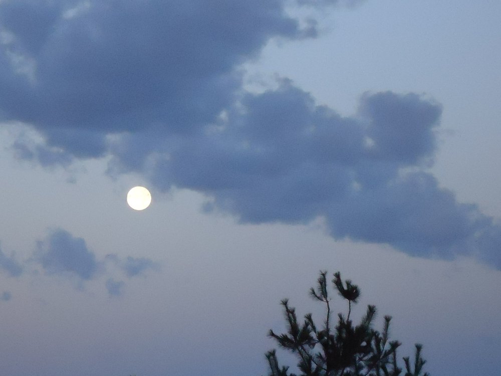 DSC01064.JPG