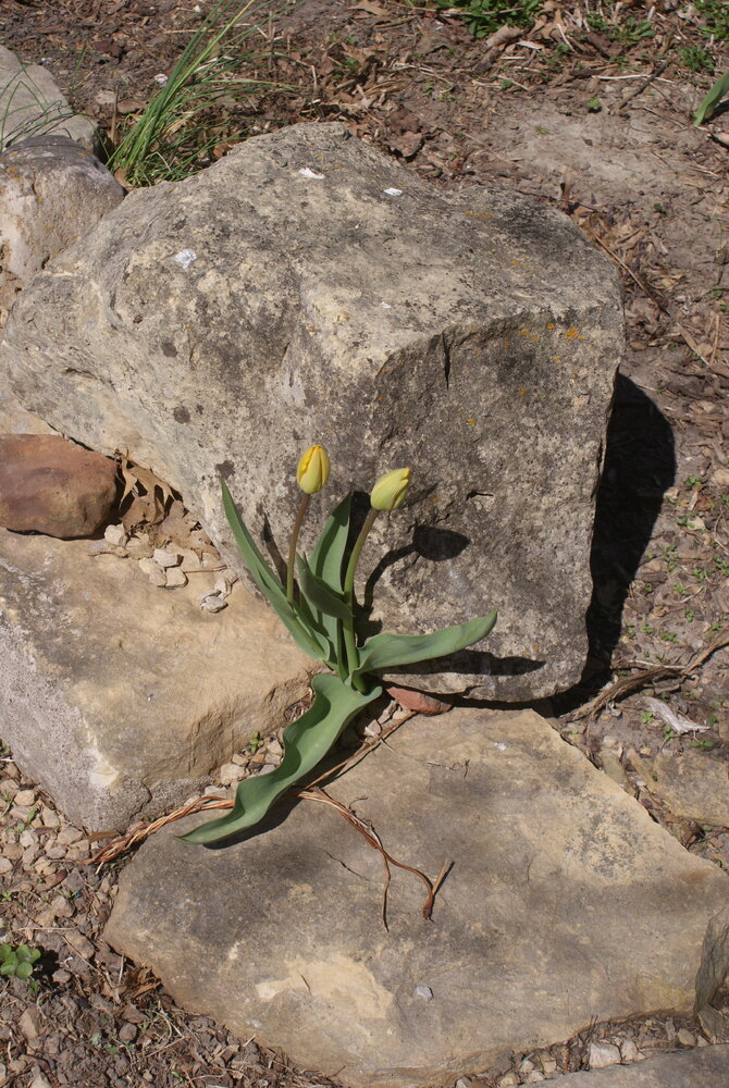 DSC01662.JPG