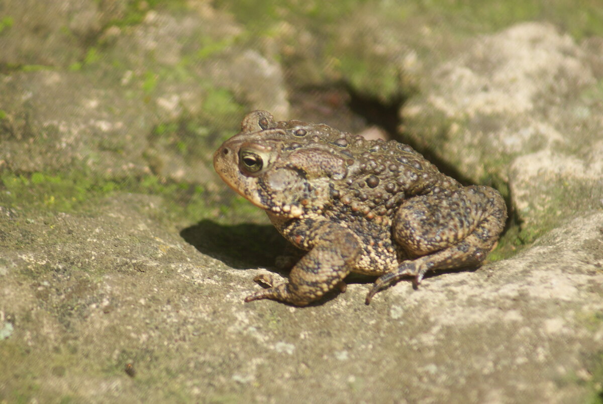DSC02049.JPG