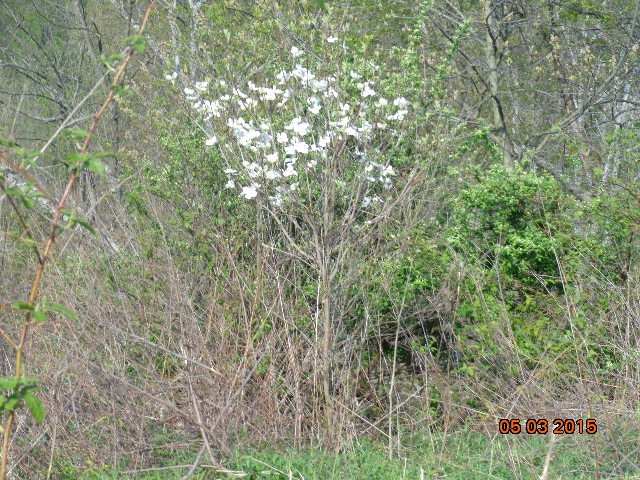 DSC02190.JPG