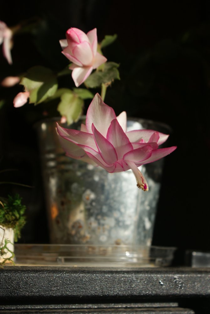 DSC02326.JPG