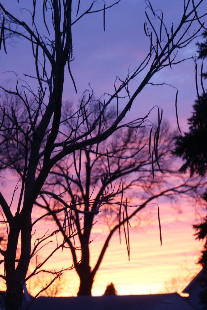 DSC02889.JPG