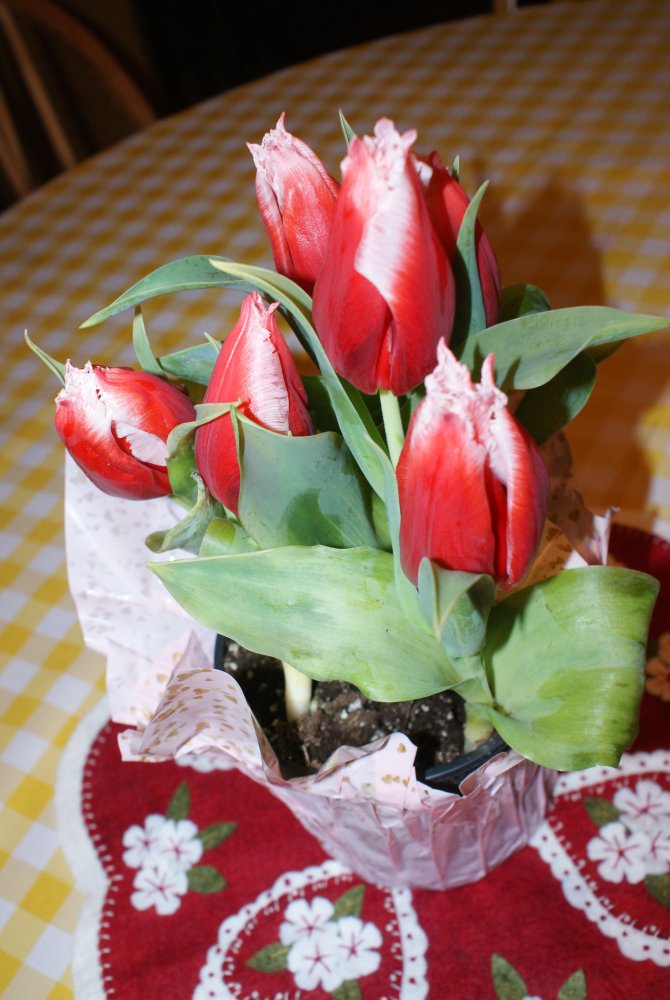 DSC03087.JPG