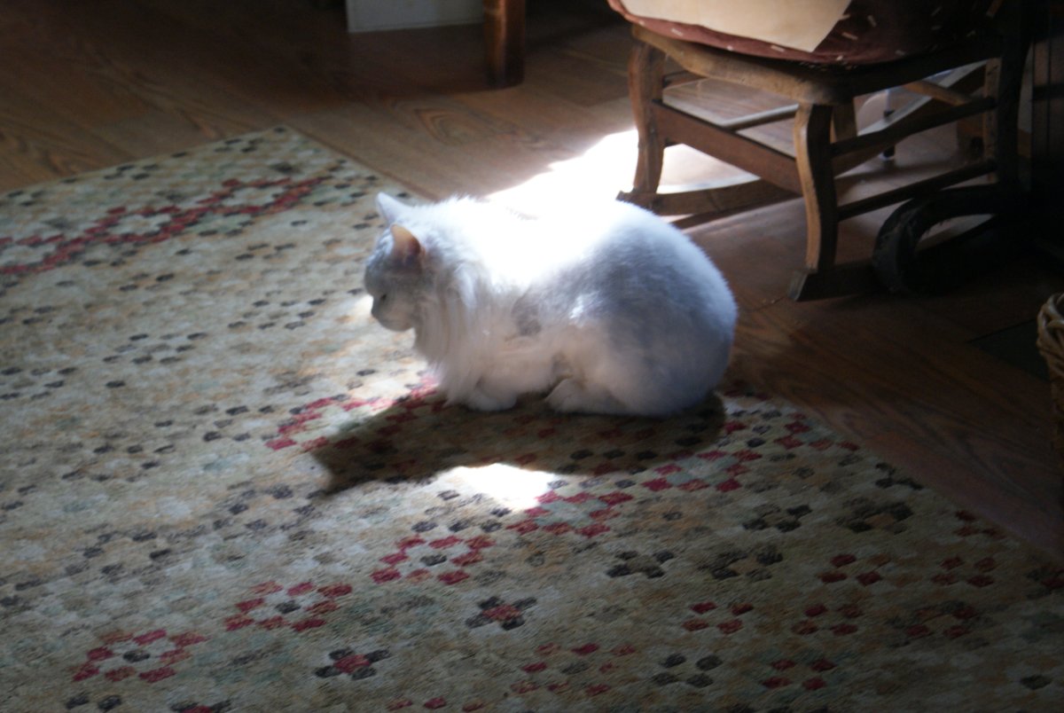 DSC03800.JPG