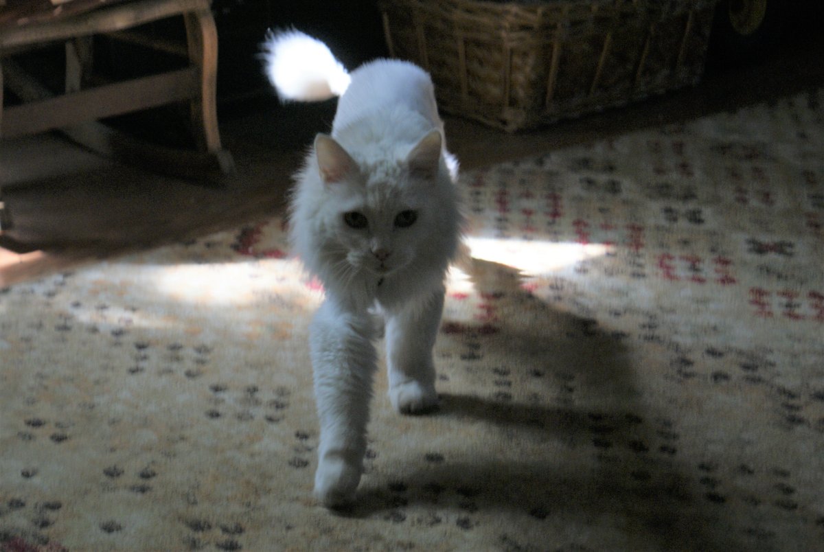 DSC03801.JPG