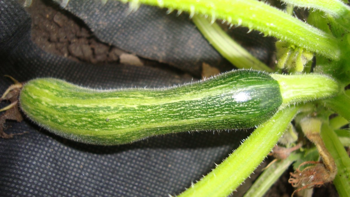 DSC03842.jpg