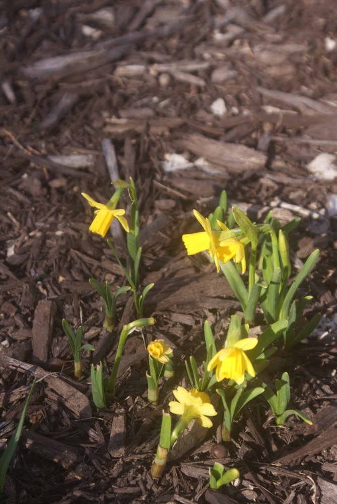 DSC03902.JPG