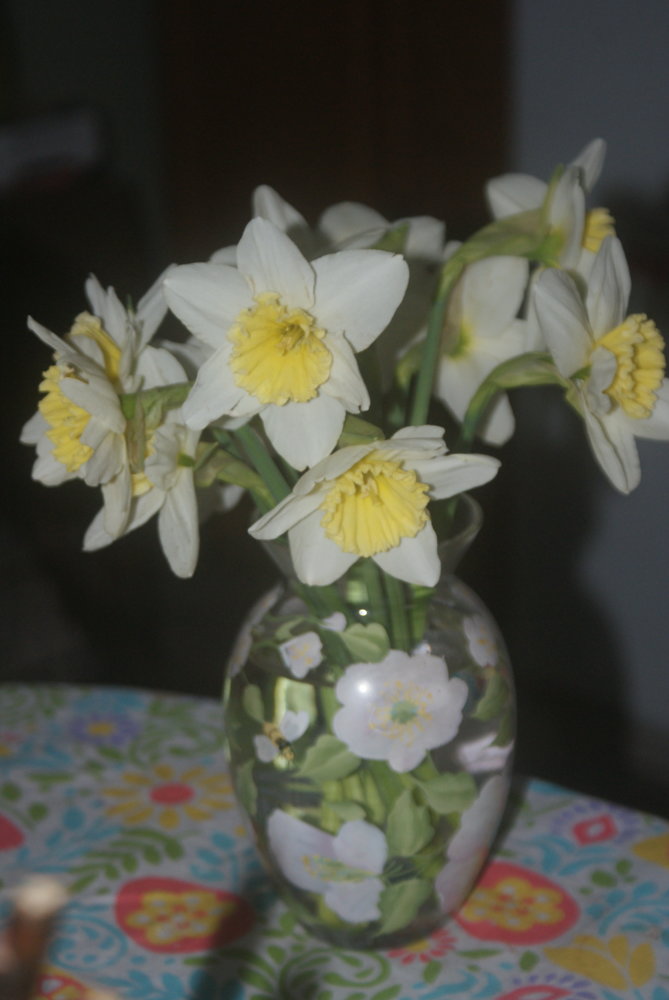 DSC03908.JPG