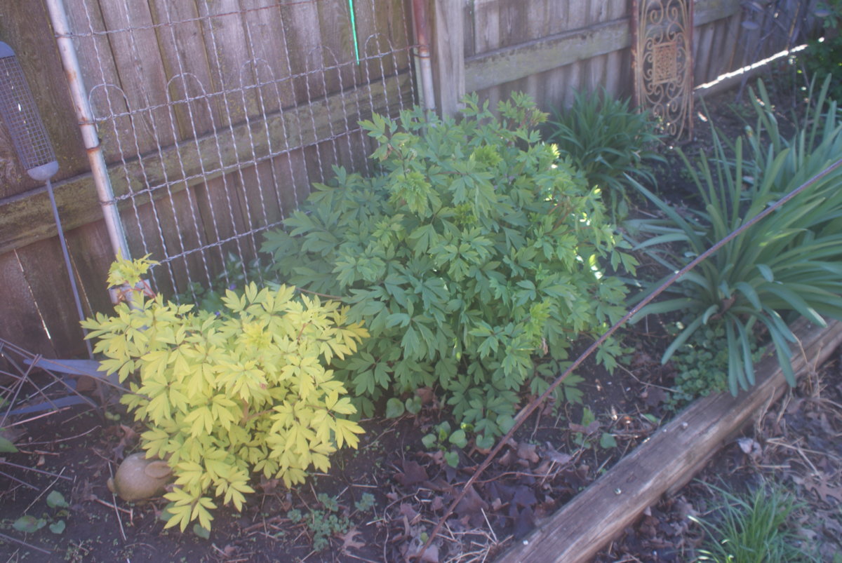 DSC03987.JPG