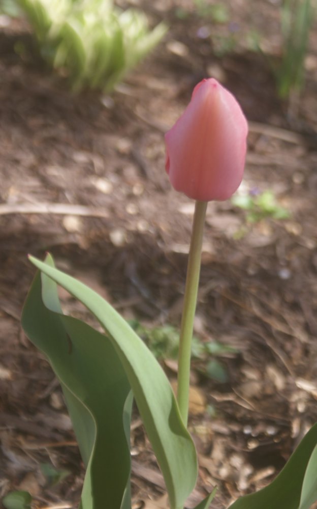 DSC04005.JPG