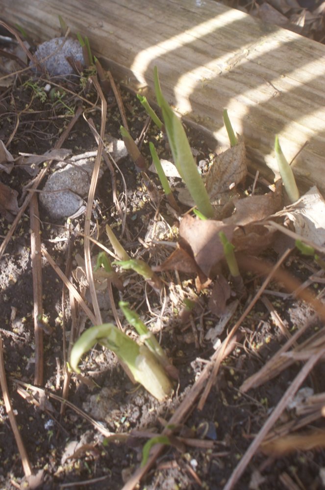 DSC04012.JPG