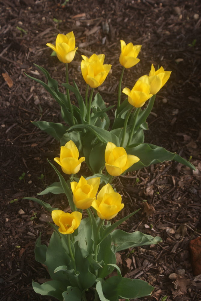 DSC04029.JPG