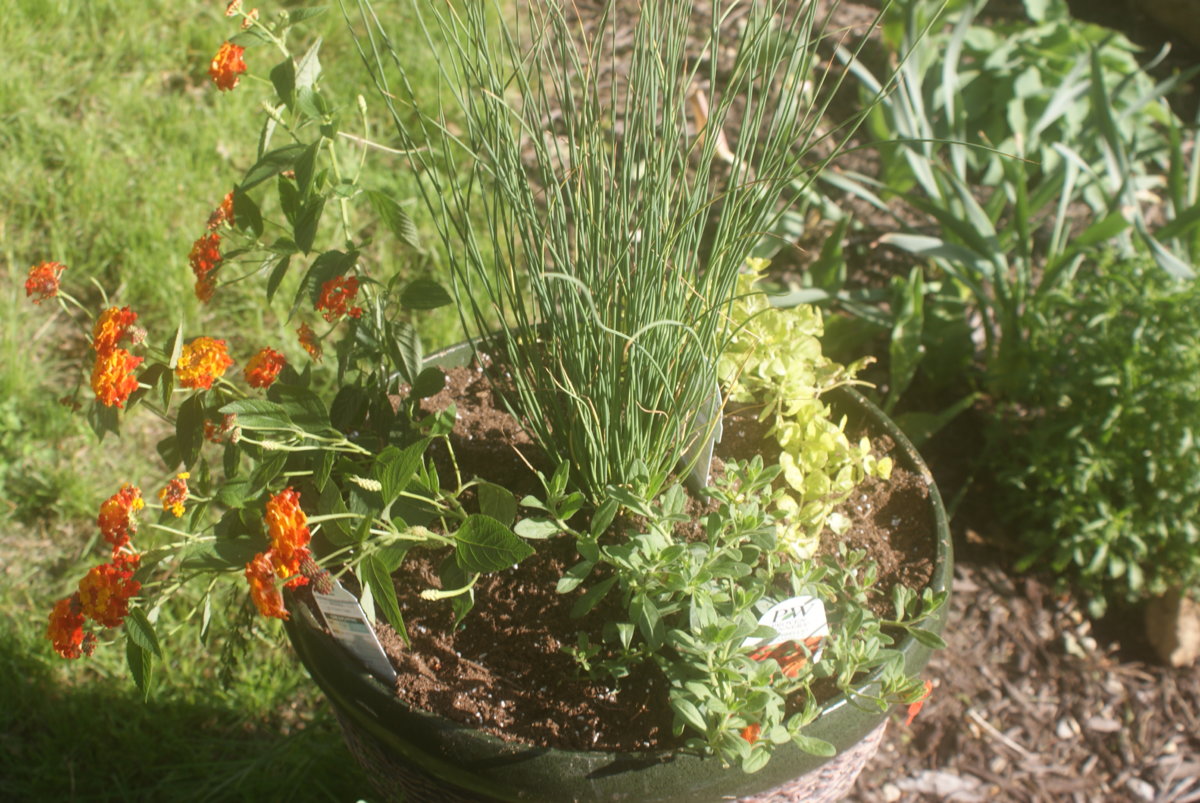 DSC04101.JPG